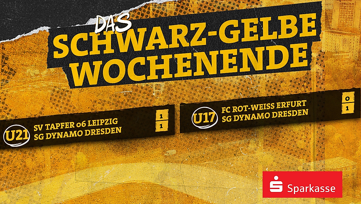 Eine Ergebnisübersicht der Spiele von Dynamos U21 und U17 vom Wochenende 15.-16.11.