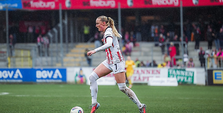 [Bild: aHR0cHM6Ly93d3cuc2NmcmVpYnVyZy5jb20vZmls...mVyZy5qcGc]