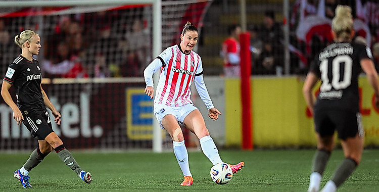 [Bild: aHR0cHM6Ly93d3cuc2NmcmVpYnVyZy5jb20vZmls...VlZMLmpwZw]