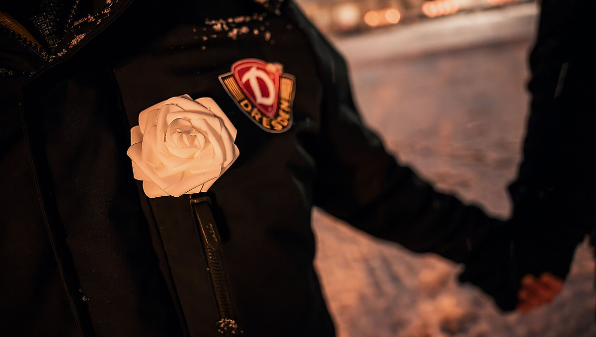 Eine weiße Rose an einer Dynamo-Jacke