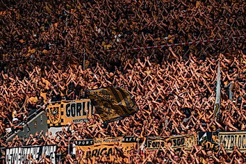 Fans der SG Dynamo Dresden.