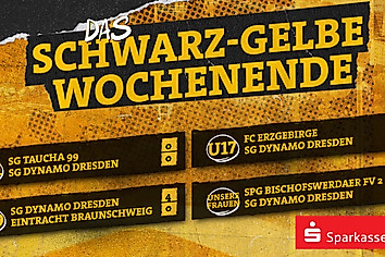 Eine Ergebnisübersicht von Dynamos Frauenteam sowie den Nachwuchsmannschaften vom Wochenende 14.-15. März 2026