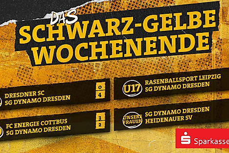 Eine Ergebnisübersicht der Nachwuchs- und Frauenmannschaften der SGD am Wochenende 01.-02.11.2025