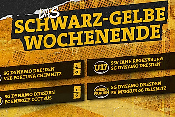 Eine Grafik mit den Spielergebnissen von U21, U19, U17 und Dynamos-Frauen vom Wochenende 23.-24. August 2025.