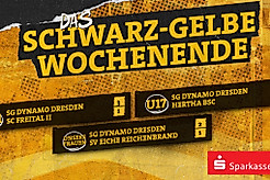 Eine Ergebnisübersicht der Nachwuchs- und Frauenmannschaften der SGD am Wochenende 08.-09.11.2025