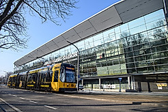 Eine Straßenbahn der DVB auf der Lennéstraße vor dem Rudolf-Habrig-Stadion.