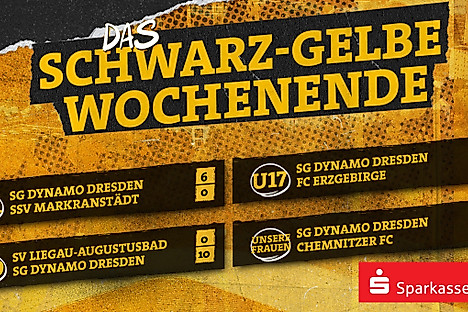 Eine Ergebnisübersicht der Nachwuchs- und Frauenmannschaften der SGD am Wochenende 22.-23.11.2025