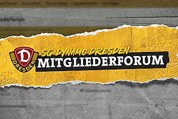 Grafik mit dem Text: SG Dynamo Dresden Mitgliederforum