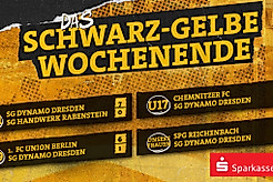 Eine Ergebnisübersicht der Nachwuchs- und Frauenmannschaften der SGD am Wochenende 25.-26.10.2025