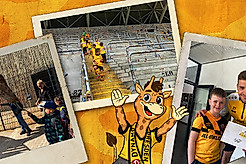 Collage aus drei Bildern der Goraffenbande