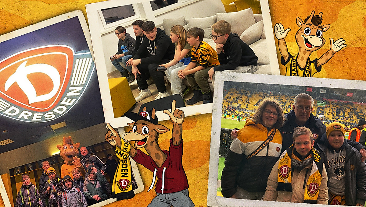 Eine Grafik mit verschiedenen Bildern von Veranstaltungen der Giraffenbande.