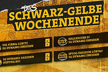 Eine Übersicht der Ergebnisse von Dynamos Nachwuchsmannschaften und dem Frauenteam vom Wochenende 8.8.-10.8.