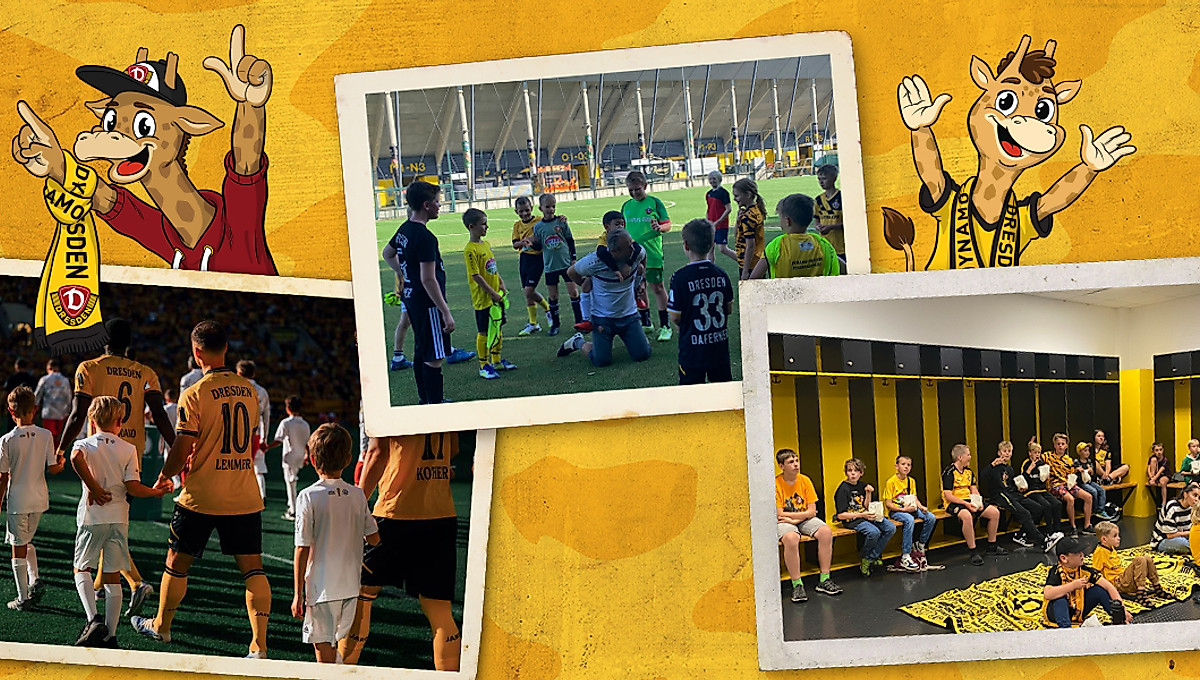 Drei Bilder von den Veranstaltungen der Giraffenbande im August 2025. Zusätzlich zwei Comic-Giraffen im Bild.