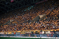 Eine volle Tribüne im Rudolf-Harbig-Stadion