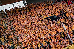 Fans der SG Dynamo Dresden beim Klatschen.