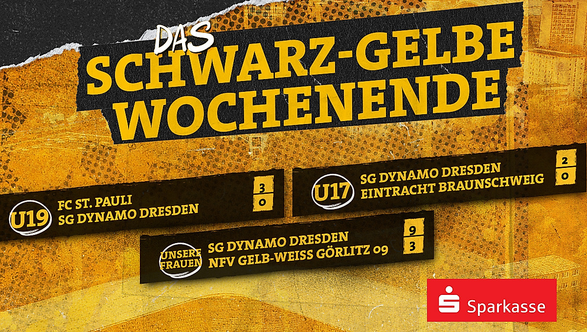 Eine Ergebnisübersicht der Spiele von Dynamos Frauenteam sowie den Nachwuchsmannschaften