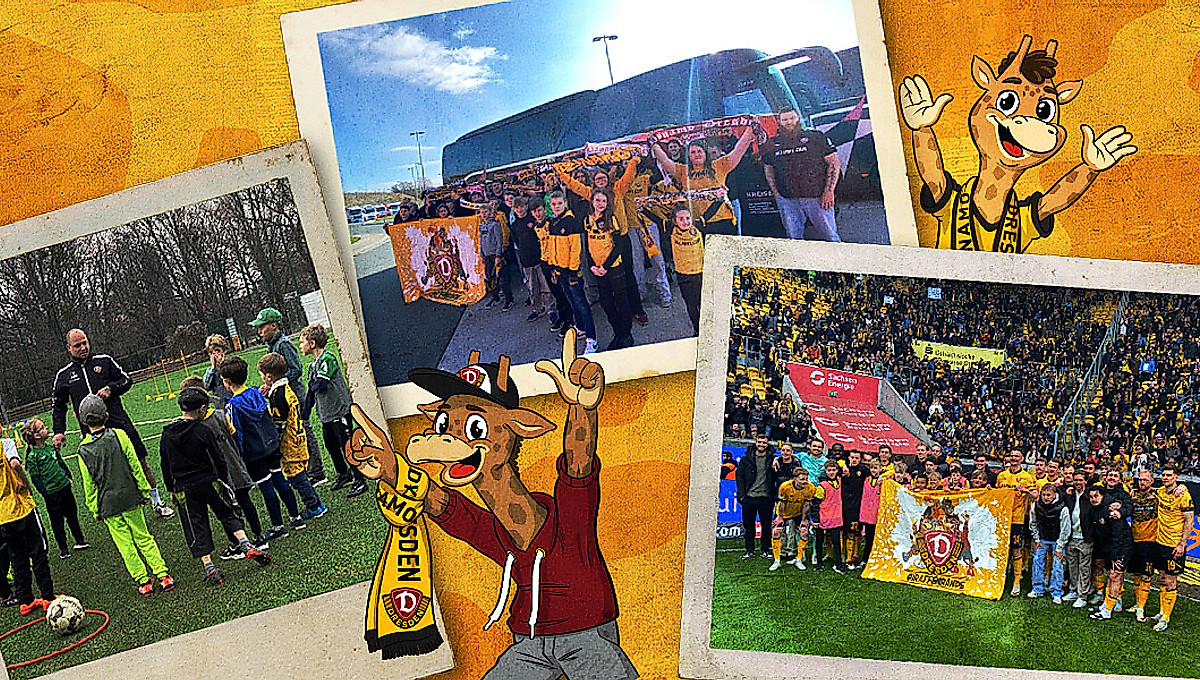 Eine Grafik mit verschiedenen Bildern von Veranstaltungen der Giraffenbande.