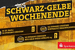 Eine Ergebnisübersicht der Spiele von Dynamos Frauenteam sowie den Nachwuchsmannschaften