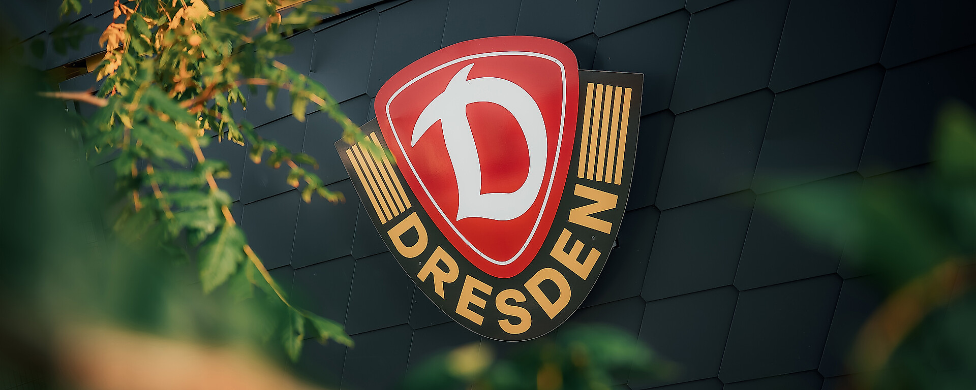 Das Wappen der SG Dynamo Dresden an der Hauswand der AOK PLUS Walter-Fritzsch-Akademie.