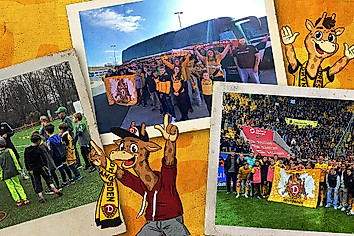 Eine Grafik mit verschiedenen Bildern von Veranstaltungen der Giraffenbande.