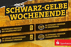 Eine Ergebnisübersicht der Nachwuchs- und Frauenmannschaften der SGD am Wochenende 22.-23.11.2025