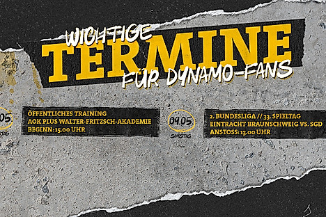 Der Wochenplan mit allen wichtigen Terminen für Dynamo-Fans.