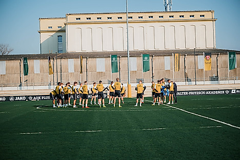 Die Profis der SGD auf dem Trainingsplatz.