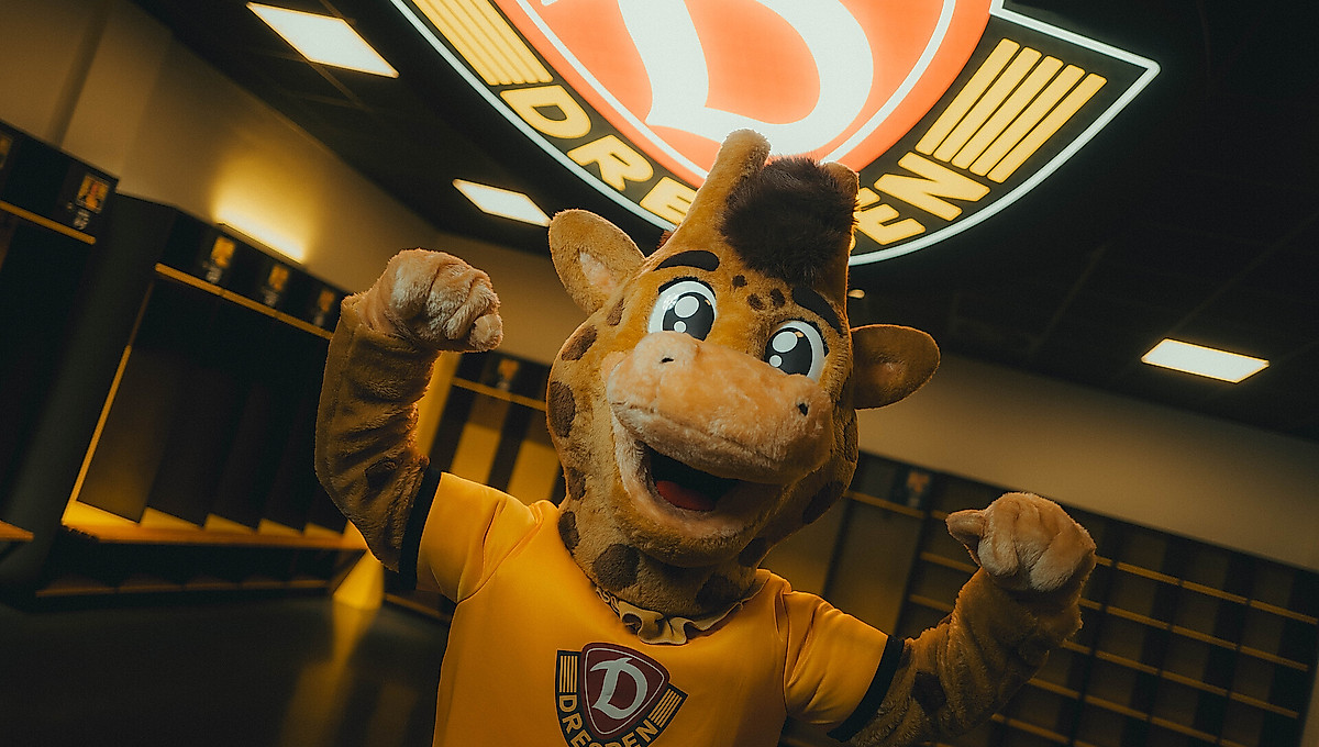 Eine Giraffen-Maskottchen steht in der Kabine von Dynamo.