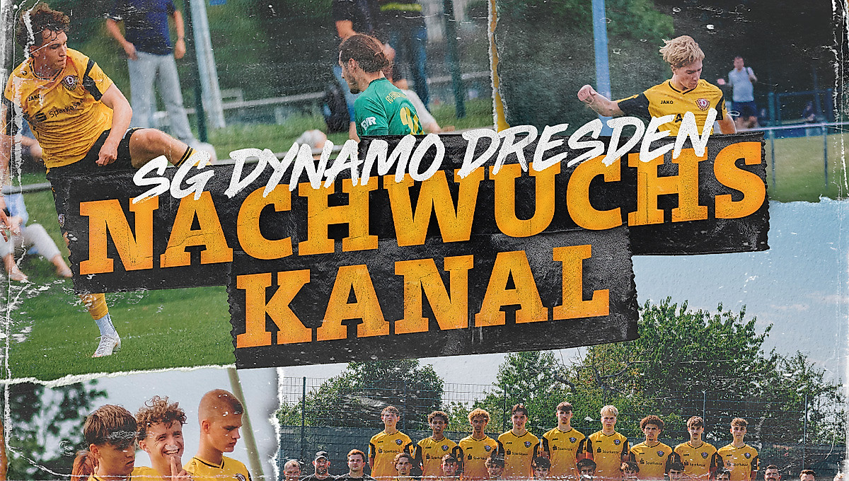 Grafik mit der Aufschrift Dynamo Dresden Nachwuchs Kanal.