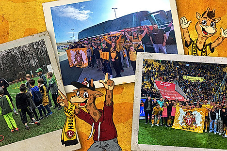 Eine Grafik mit verschiedenen Bildern von Veranstaltungen der Giraffenbande.