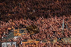 Fans der SG Dynamo Dresden.