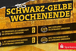 Eine Ergebnisübersicht der Spiele von Dynamos Frauenteam sowie den Nachwuchsmannschaften