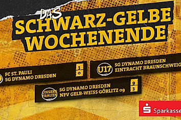 Eine Ergebnisübersicht der Spiele von Dynamos Frauenteam sowie den Nachwuchsmannschaften