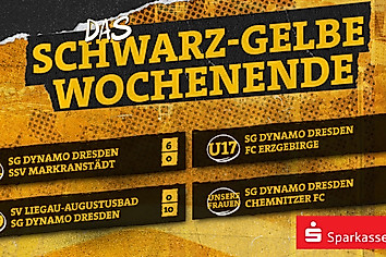 Eine Ergebnisübersicht der Nachwuchs- und Frauenmannschaften der SGD am Wochenende 22.-23.11.2025