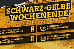 Eine Übersicht der Ergebnisse von Dynamos Nachwuchsmannschaften und dem Frauenteam vom Wochenende 8.8.-10.8.