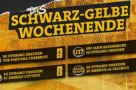 Eine Grafik mit den Spielergebnissen von U21, U19, U17 und Dynamos-Frauen vom Wochenende 23.-24. August 2025.