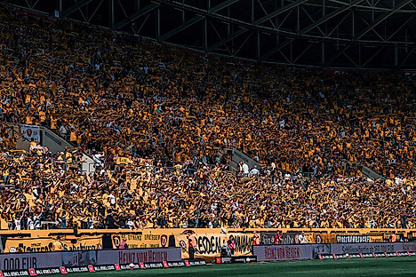 Fans im Rudolf-Harbig-Stadion Dresden