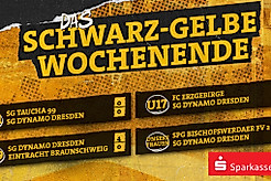 Eine Ergebnisübersicht von Dynamos Frauenteam sowie den Nachwuchsmannschaften vom Wochenende 14.-15. März 2026