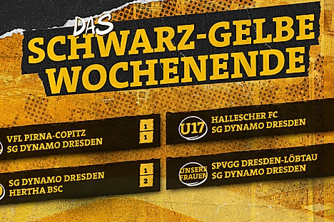 Eine Übersicht der Ergebnisse von Dynamos Nachwuchsmannschaften und dem Frauenteam vom Wochenende 8.8.-10.8.