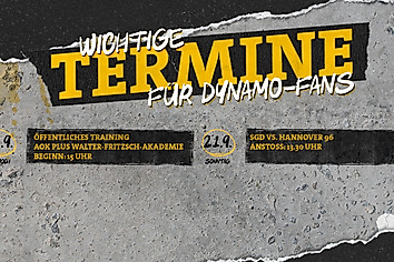 Termine für Dynamo-Fans in der Woche vom 15.-21. September 2025.