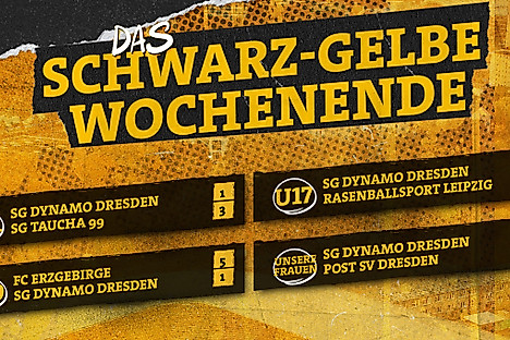 Die Ergebnisse von Dynamos Nachwuchsmannschaften sowie des Frauenteams vom Wochenende 13.-14. September 2025.