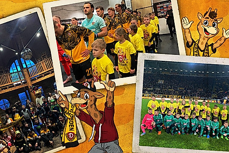 Eine Grafik mit verschiedenen Bildern von Veranstaltungen der Giraffenbande.