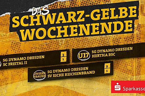 Eine Ergebnisübersicht der Nachwuchs- und Frauenmannschaften der SGD am Wochenende 08.-09.11.2025