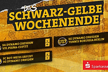 Ergebnisübersicht bei Dynamos Nachwuchsmannschaften vom Wochenende 21. & 22. Februar 2026