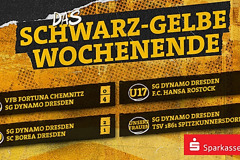 Ergebnisübersicht bei Dynamos Nachwuchsmannschaften vom Wochenende 28. Februar & 1. März 2026