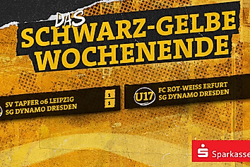 Eine Ergebnisübersicht der Spiele von Dynamos U21 und U17 vom Wochenende 15.-16.11.
