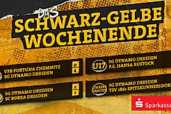 Ergebnisübersicht bei Dynamos Nachwuchsmannschaften vom Wochenende 28. Februar & 1. März 2026