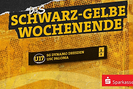 Ergebnis des Spiels Dynamo Dresden U17 gegen USC Paloma U17: 3:2