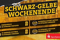 Eine Ergebnisübersicht der Nachwuchs- und Frauenmannschaften der SGD am Wochenende 01.-02.11.2025