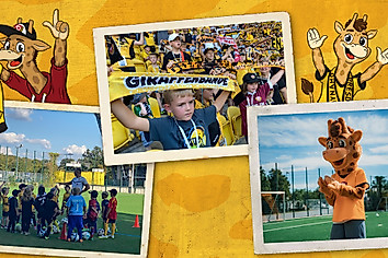 Eine Foto-Collage, die das Maskottchen der Giraffenbande, Kinder beim Fußballtraining sowie beim Stadionbesuch zeigt.